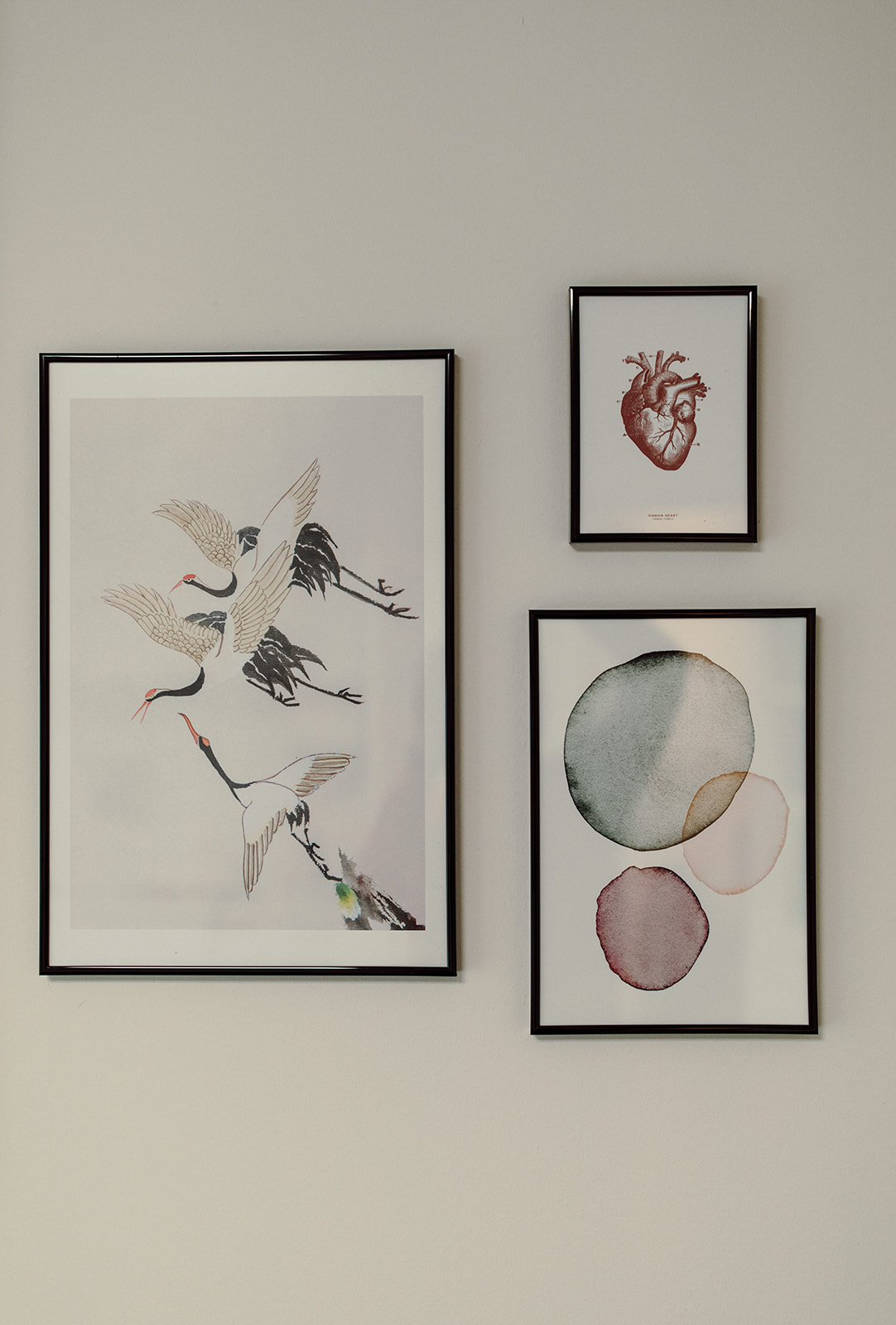 Bilderwand mit anatomischen Motiven und Kranichen